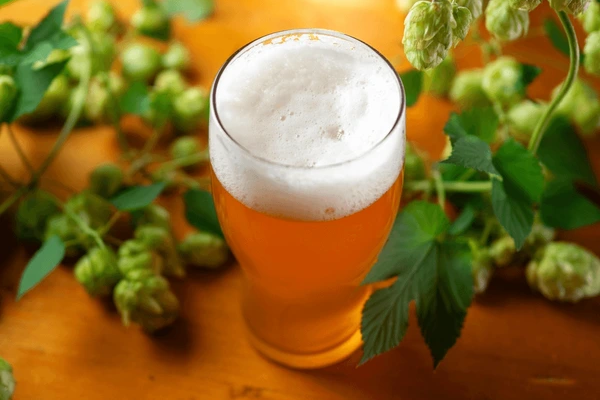Hoppy IPA